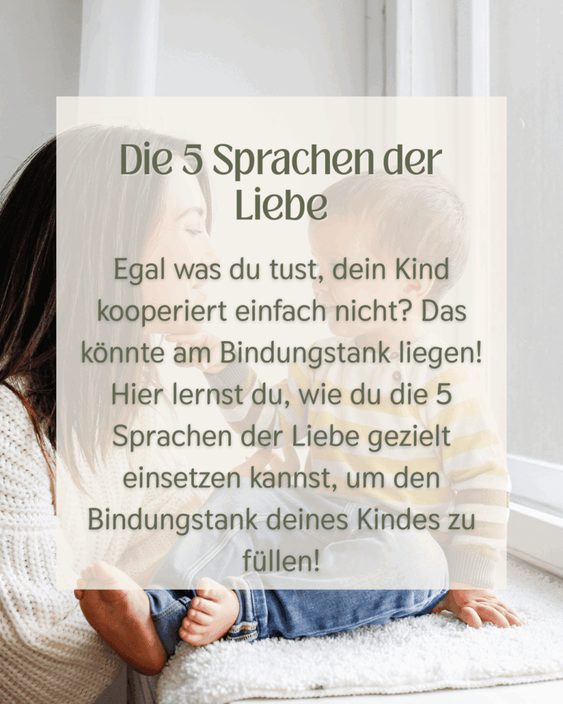 Modulübersicht Website(10)