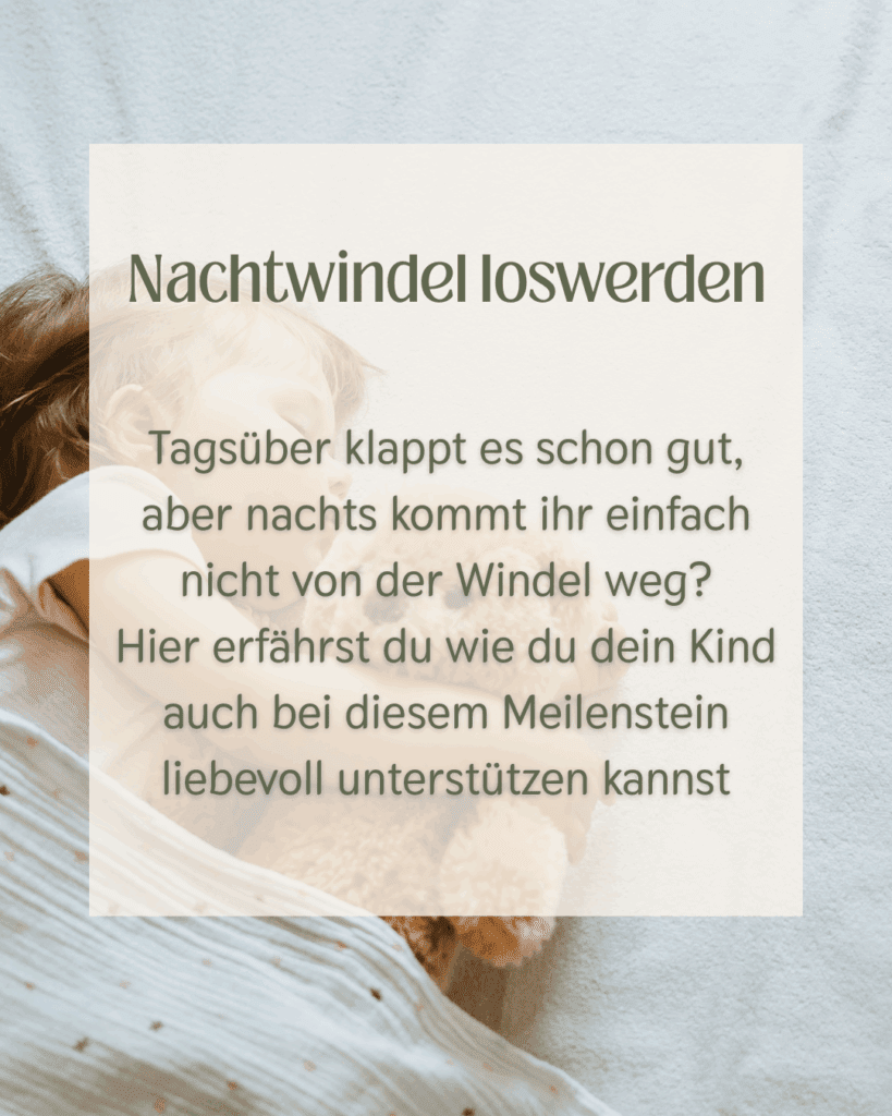 Modulübersicht Website(15)