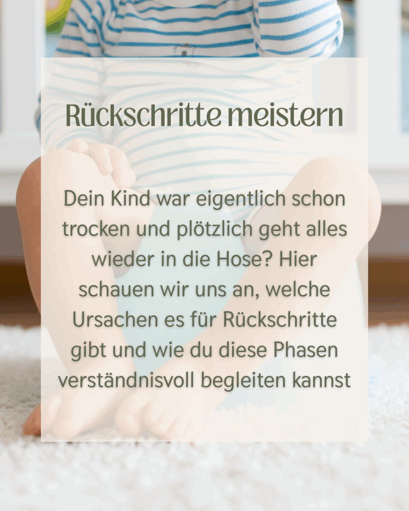 Modulübersicht Website(16)