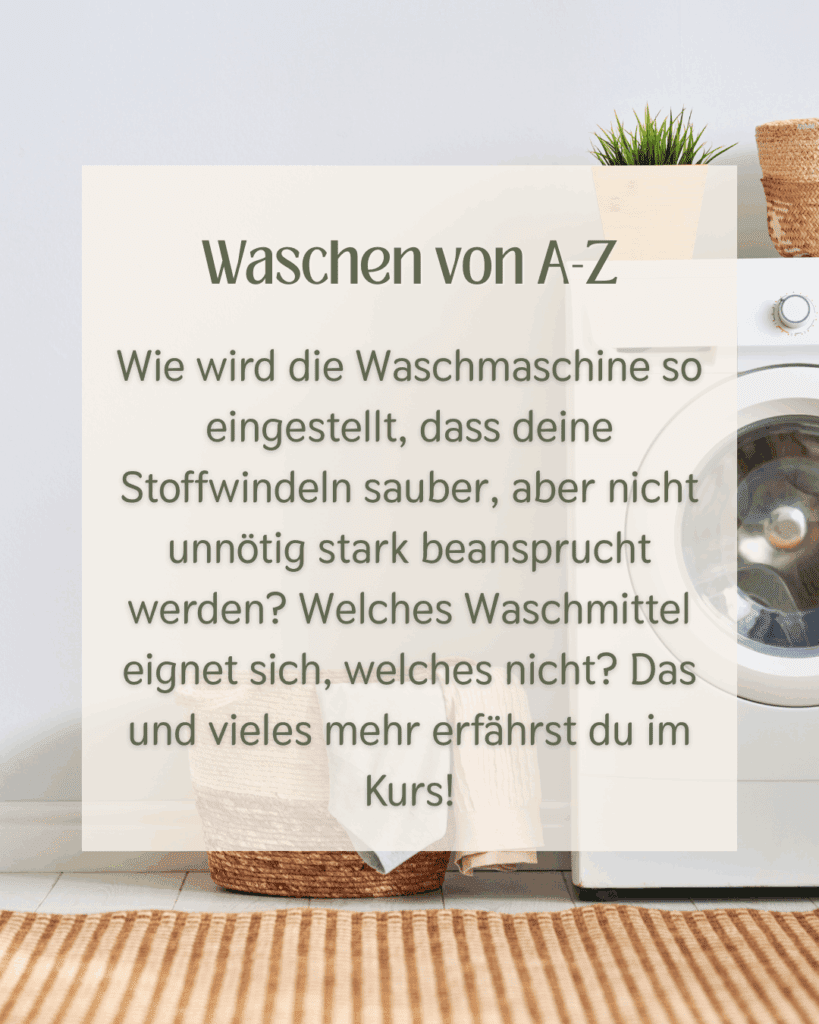Modulübersicht Website(20)