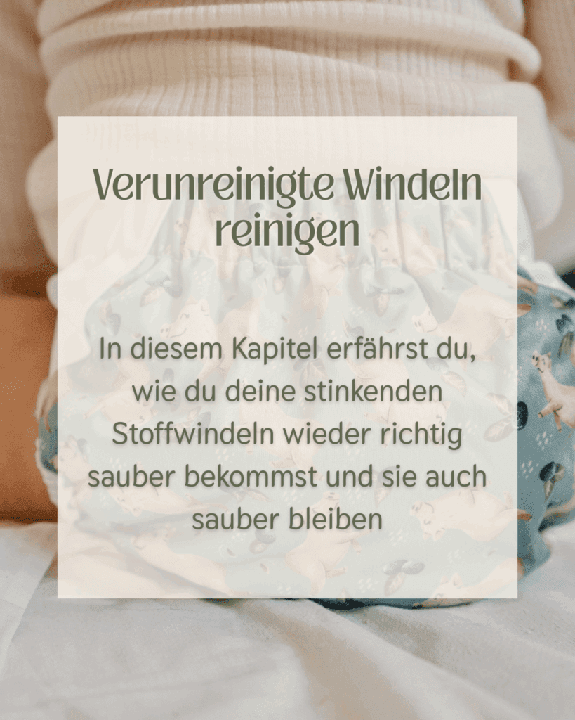 Modulübersicht Website(21)