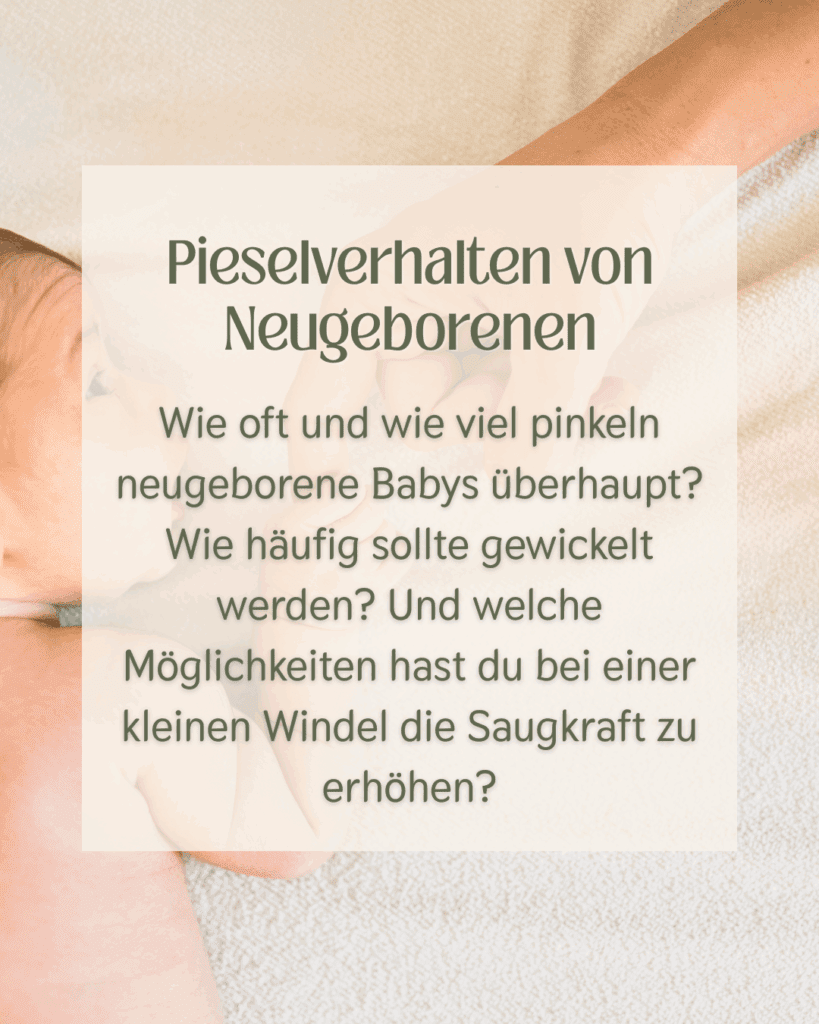 Modulübersicht Website(28)