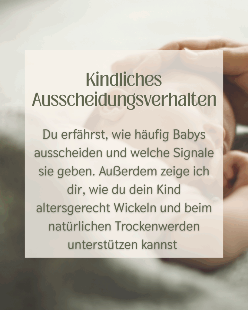 Modulübersicht Website(37)