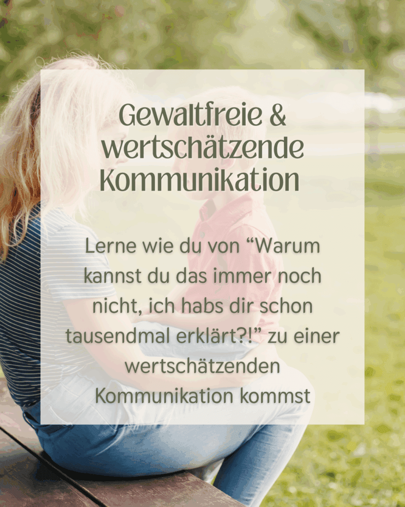 Modulübersicht Website(9)