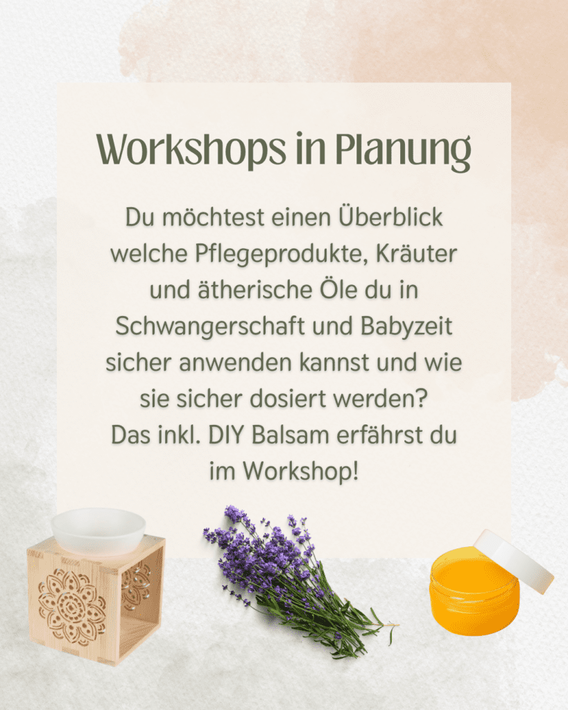 Workshops in Planung