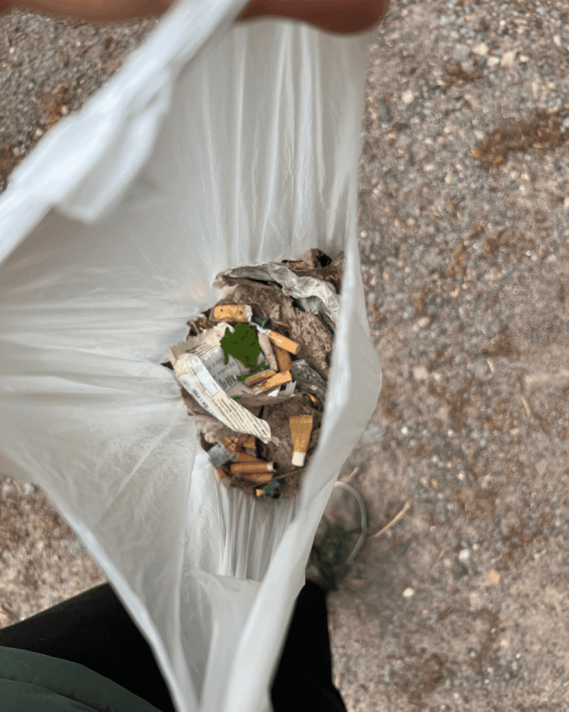 Zigaretten und weiterer Müll bei der Müllsammel-Challenge 2025 im Wald entsorgt