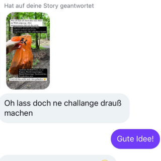 Chatverlauf mit der Idee zur ersten Müllsammel-Challenge